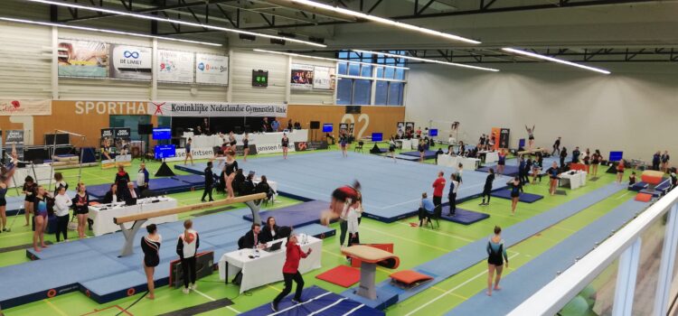 Halve finale teams Vianen