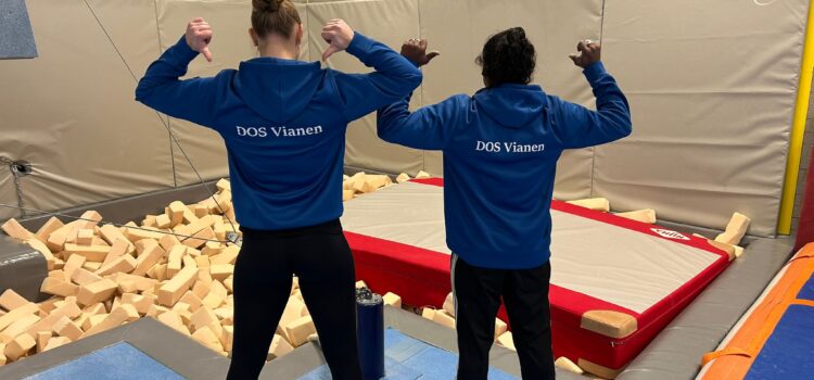 DOS Hoodie