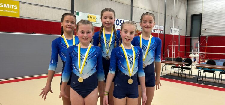 Goud, zilver, brons in Culemborg Goud, zilver, brons in Culemborg